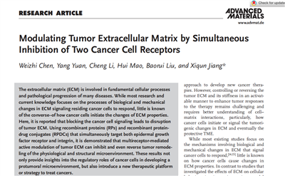 英文文獻Modulating Tumor Extracellular Matrix by Simultaneous  Inhibition of Two Cancer Cell Receptors