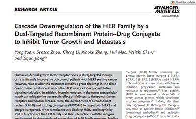 英文文獻Cascade Downregulation of the HER Family